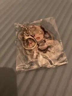 2026年最新】めいどりーみんの人気アイテム - メルカリ