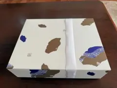 九谷焼 カップ&ソーサー 5客セット