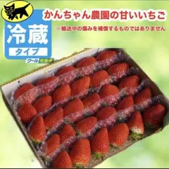 新鮮朝採りかんちゃん農園の甘いいちご - メルカリ
