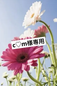 C♡ｍ様専用
