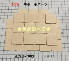 Item thumbnail for item 12ffcf88-1f0f-4769-81bd-8ae531d69180