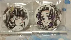 缶バッジ 　WEBSHOPくじ 鬼滅の刃 柱稽古編 最終話『柱・結集』