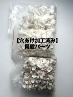 【穴あけ加工済み】貝殻⭐︎ハンドメイド⭐︎パーツ⭐︎アクセサリー⭐︎シェル⭐︎工作