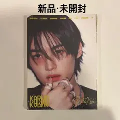 【新品未開封】Stray Kids リノ KARMA Accordion