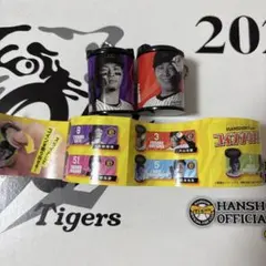 佐藤大樹 ミニアクリルスタンド 缶バッジ クリアチャーム コイン