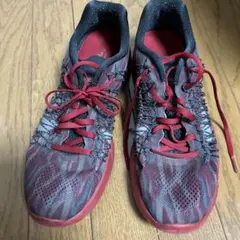 NIKE GYAKUSOUランニングシューズ レッド/グレー