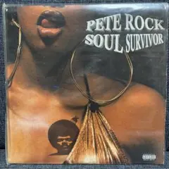 Pete Rock Soul Survivor 2LP レコード - メルカリ
