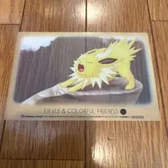 サンダース イーブイ カラフルフレンズ クリアカード