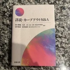 詳説・カーブアウトM&A