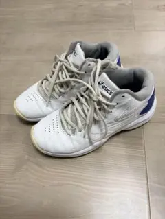 アシックス　バッシュ　22.0 asics キッズ　子供　ボーイズ　バスケット