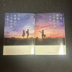 今夜、世界からこの恋が消えても 今夜、世界からこの涙が消えても　2冊セット