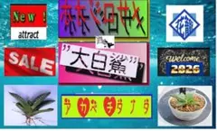 げんがー様 リクエスト 2点 まとめ商品
