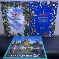 ワイド版 8冊セット ミッケ! いつまでもあそべる かくれんぼ絵本