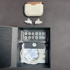 【美品】 ソニー SONY ワイヤレスイヤホン　WF-1000XM3