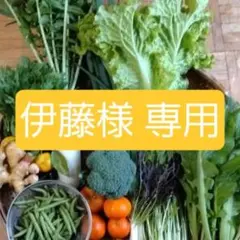 伊藤様専用ページになります。