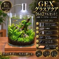 水を入れるだけですぐに始められる ミニチュアランドスケープ