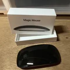 Item thumbnail for item 76743801-0b30-46cc-a074-47ef4486740f