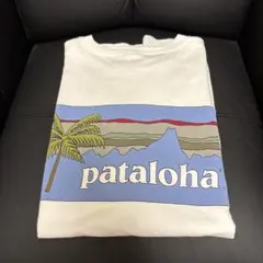 【最終値下げ】 パタゴニア patagonia ベネフィシャル L USA製