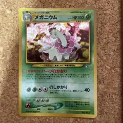 メガニウム_プレミアムファイル PROMO 第1世代 1996~1999