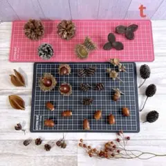 木の実セットt 松ぼっくり どんぐり ヤシャブシ、ドライフラワーetc