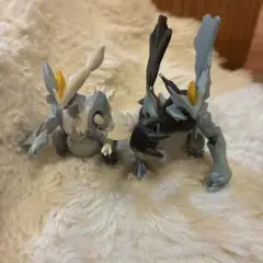 ホワイトキュレム、ブラックキュレム