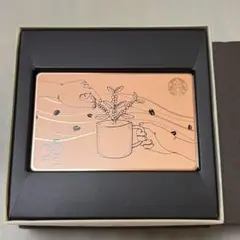 スターバックス Starbuckscard 25周年 ステンレスカード - メルカリ