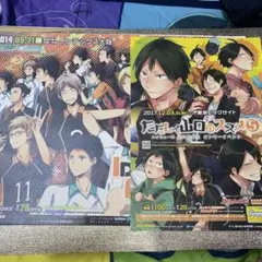 ハイキュー フライヤー