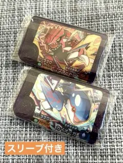 グラードン カイオーガ セット　ポケモンフレンダ