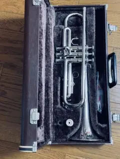 Item thumbnail for item 22a359f4-4a95-4cde-97c7-cd5f5dcf0ddd