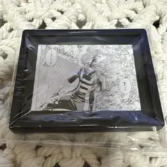 僕のヒーローアカデミア マグネット 轟焦凍