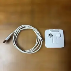 Apple イヤフォンとUSB-A to Lightningケーブル