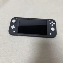 Switch Lite グレー　本体＋充電器のみ