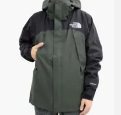 美品 ノースフェイス マウンテンジャケット ゴアテックス size L ピート