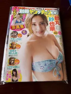 別冊ヤングチャンピオン 2018年10月号 都丸紗也華表紙　極美品　付録完備