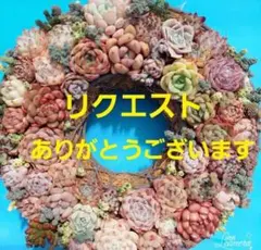 yume様 リクエスト 3点 まとめ商品