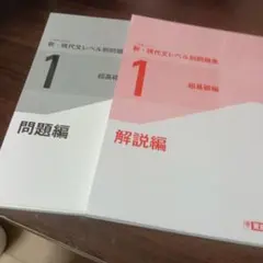 新・現代文レベル別問題集 1 超基礎編