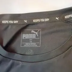 PUMA