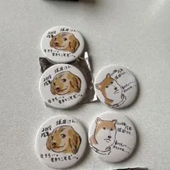 2026年最新】あほの坂田 缶バッジ シクレの人気アイテム - メルカリ
