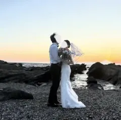 レース刺繍 ウェディングドレス(ベール付)