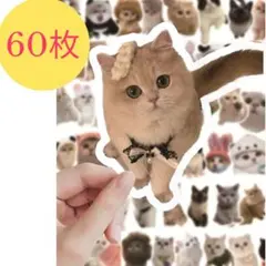 Item thumbnail for item 176a4ed0-2dba-4032-9e9a-092610d86829