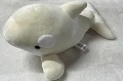 名古屋港水族館 ぬいぐるみくじ シャチ オルカ 白 ホワイト 3等