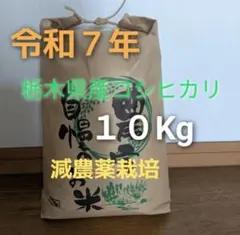 令和7年　栃木県産減農薬栽培コシヒカリ10キロのサムネイル