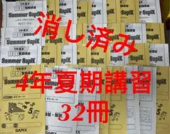 2025年最新】サピックス夏期講習の人気アイテム - メルカリ