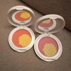 PAUL & JOE アイ＆フェイスカラー CS 132,136