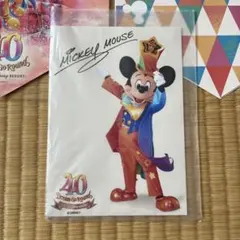東京ディズニーランド40周年　ミッキーミニーサイン付きフォト
