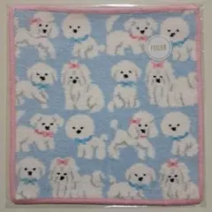 フェイラータオルハンカチ　　未開封