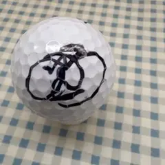 houryu55様 リクエスト 2点 まとめ商品