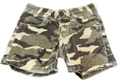 Item thumbnail for item 1d153c5f-7588-4b26-a53a-3f600a24cf47