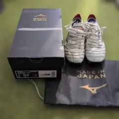 モレリアネオ4 24