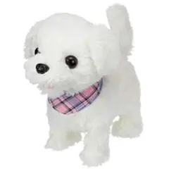 Item thumbnail for item 9e7c67f1-4222-4a4f-a8b2-9e042d2c682d